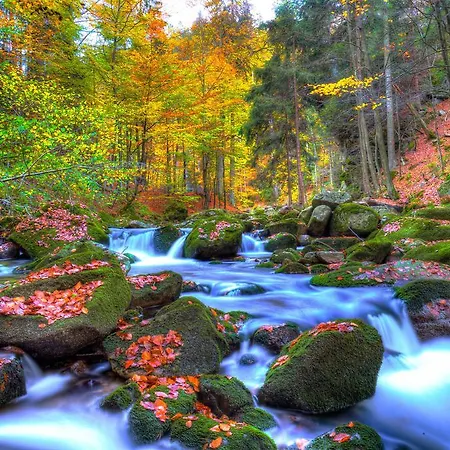 Dw Averon * Świeradów-Zdrój